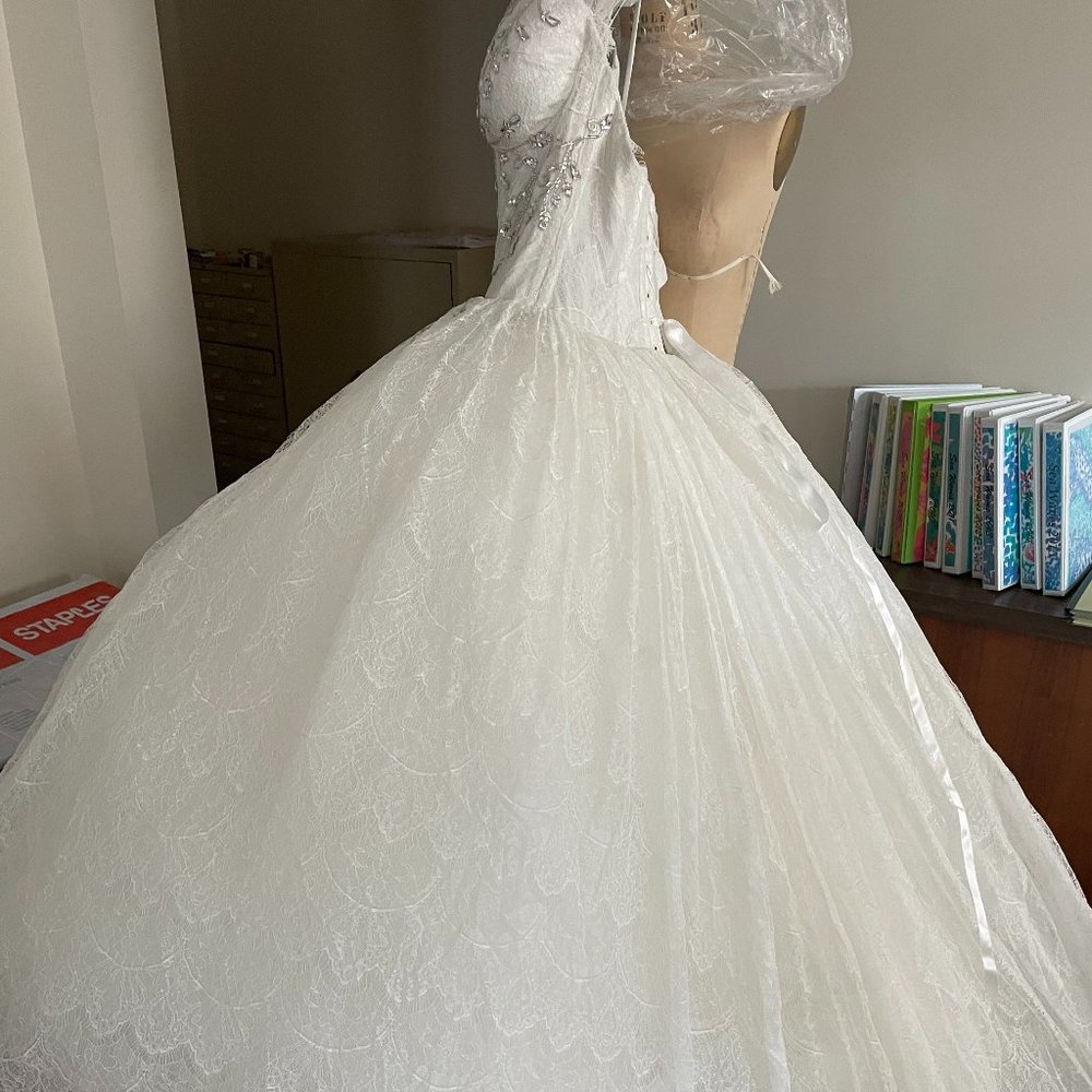Pnina Tornai Wedding Gown - Picture 6 of 16